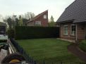 Nieuw Buinen